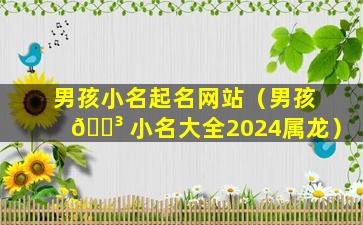 男孩小名起名网站（男孩 🌳 小名大全2024属龙）